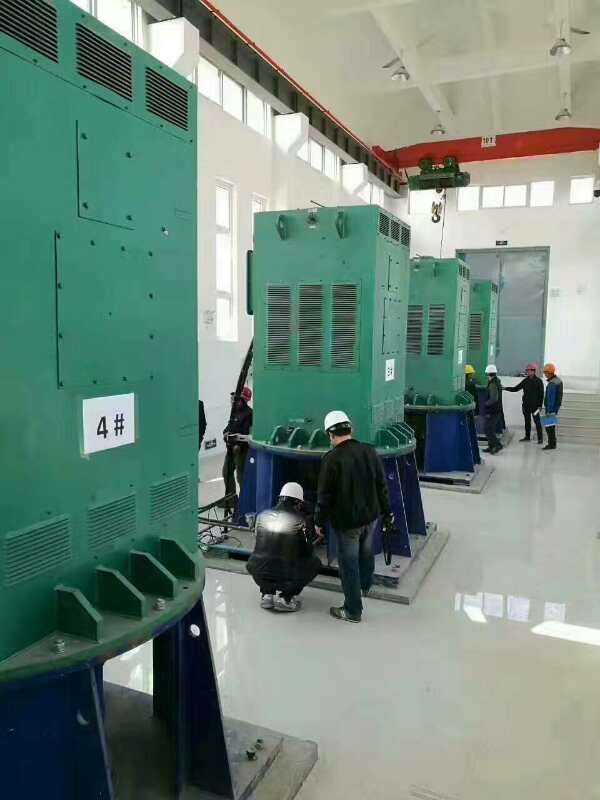 宜春某污水处理厂使用我厂的立式高压电机安装现场