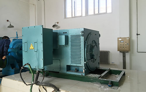 宜春某水电站工程主水泵使用我公司高压电机